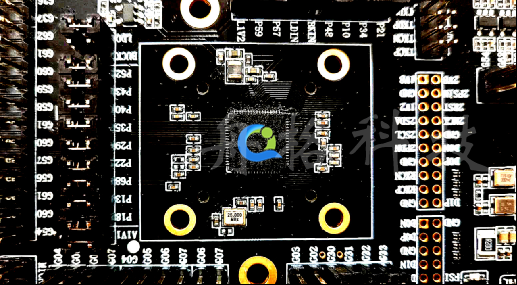 多領域布局，奇夢者進擊的2019